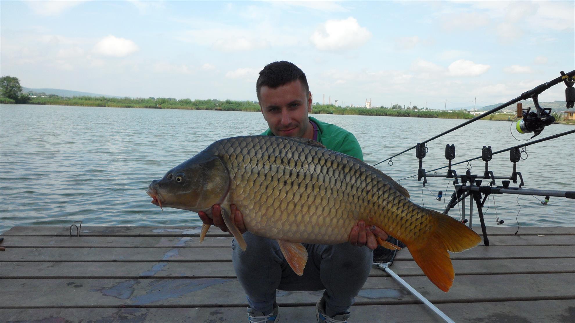 Pleasa 2013 - 12.45kg